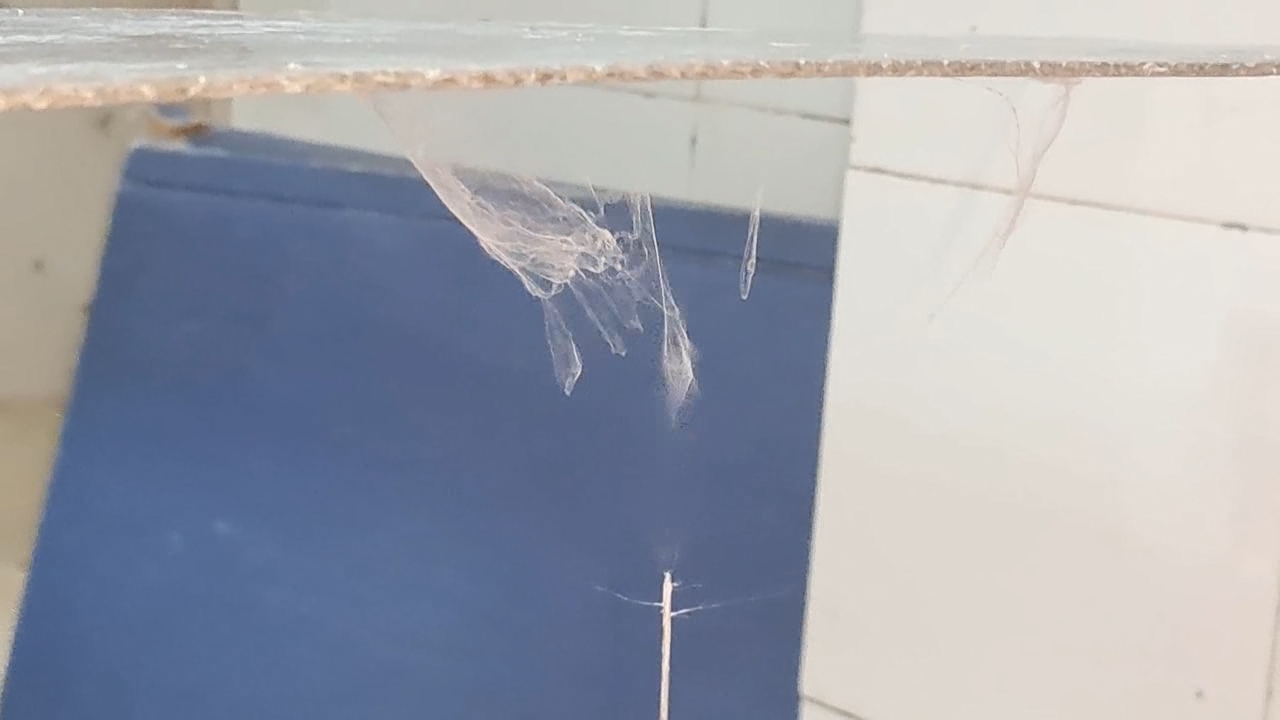 Electrospinning: Solutions of Polystyrene and Polyvinylidene Difluoride in Dimethylformamide